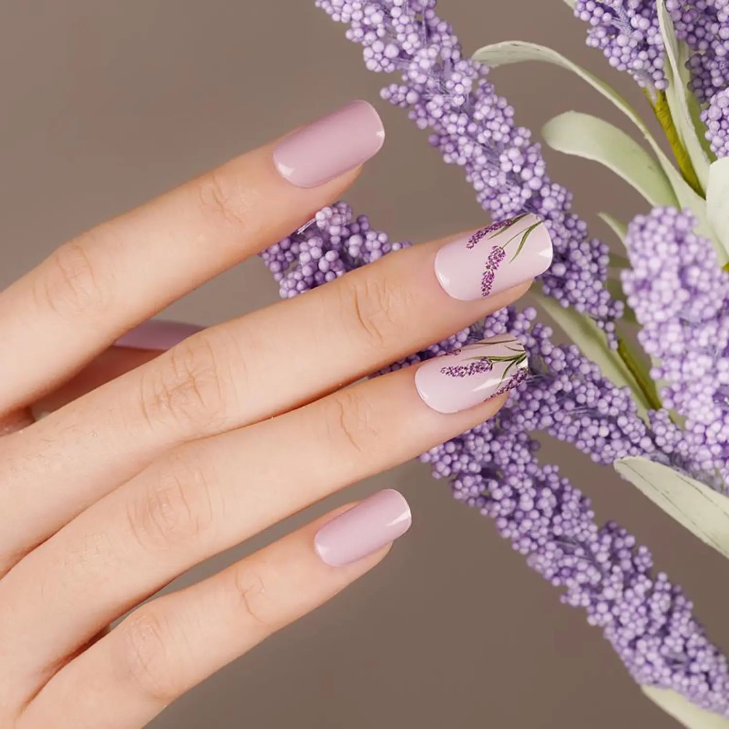 Lavender Haze