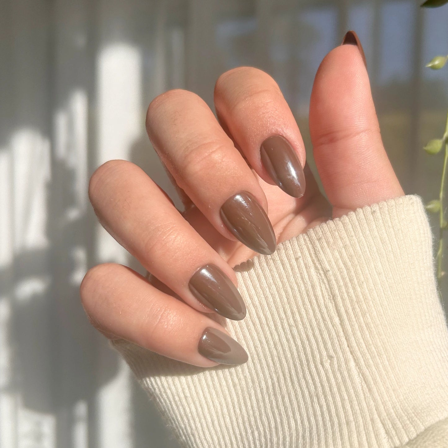 Glazed Cocoa