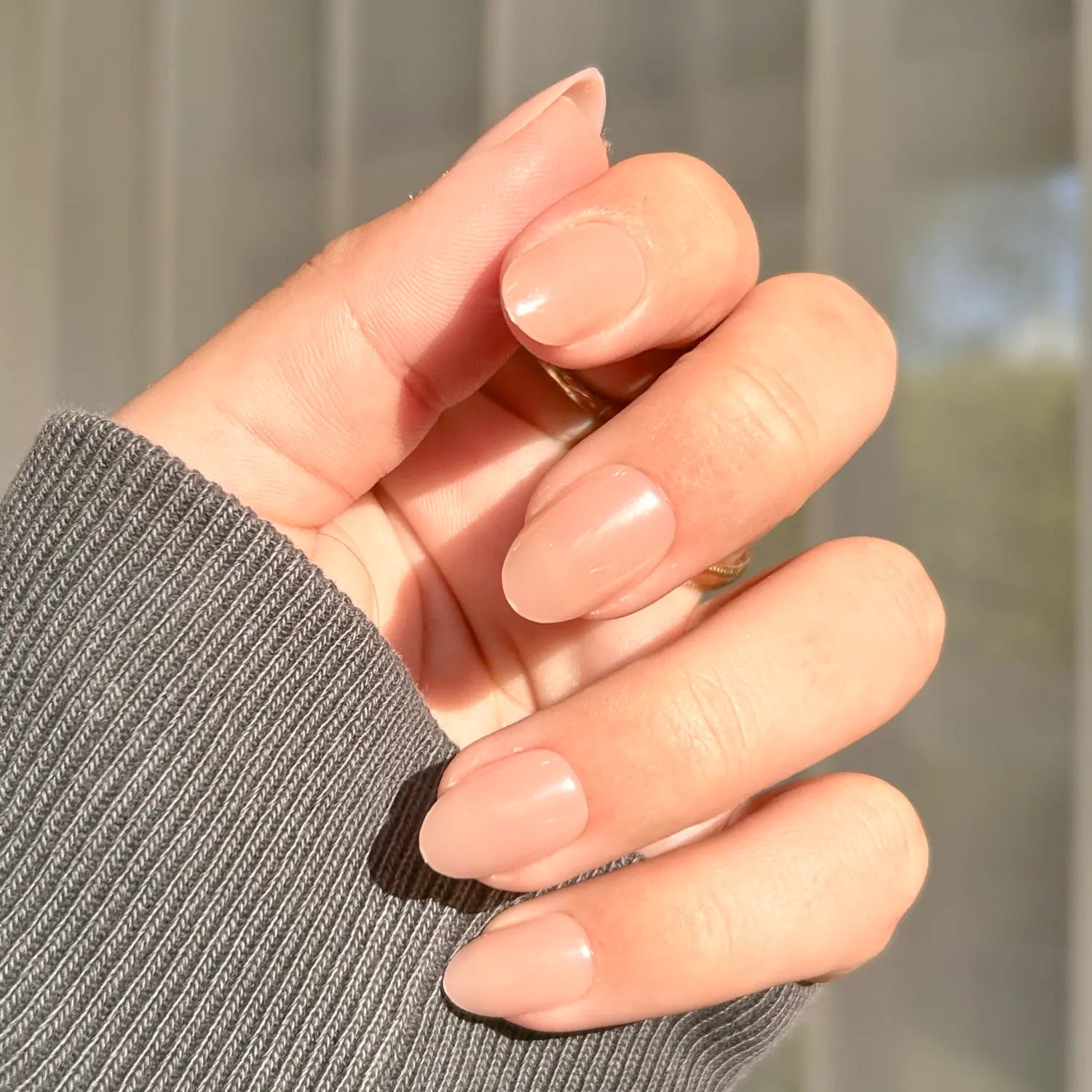 Glazed Lotus