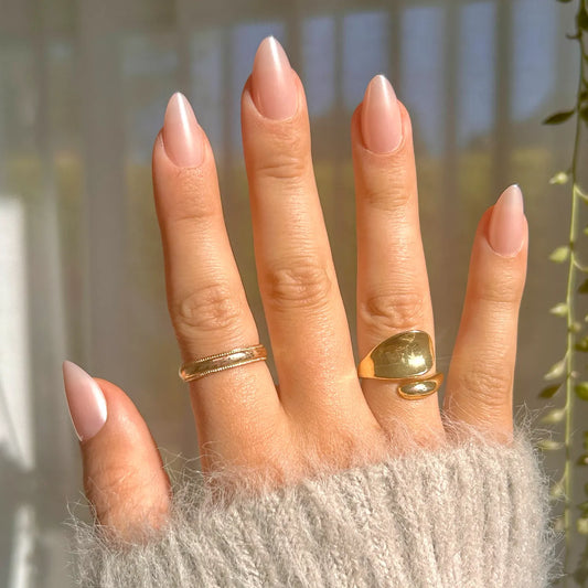 Glazed Seashell