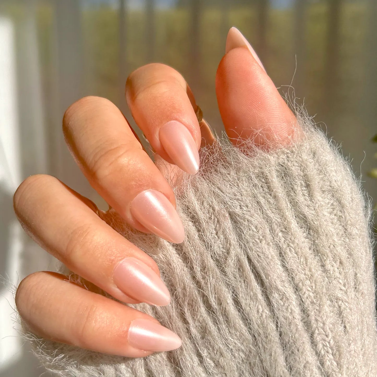 Glazed Seashell